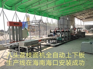 八頭荔枝面機(jī)全自動(dòng)上下板生產(chǎn)線在海南?？诎惭b成功